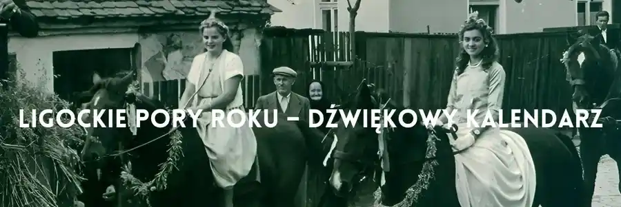 Ligockie Wrzosy z Ligoty Prószkowskiej