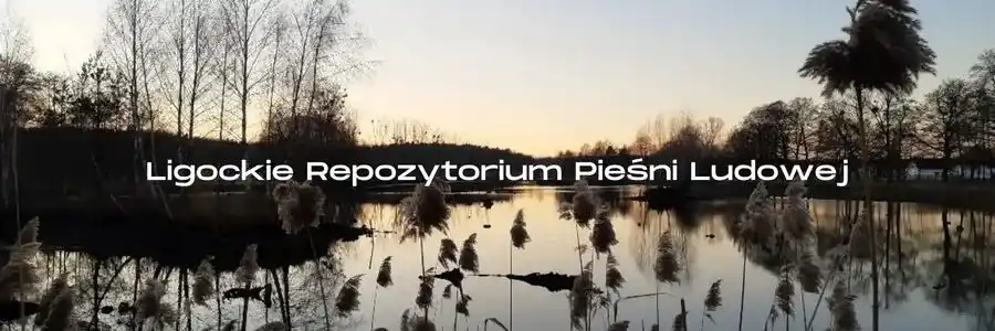 Ligockie Wrzosy z Ligoty Prószkowskiej